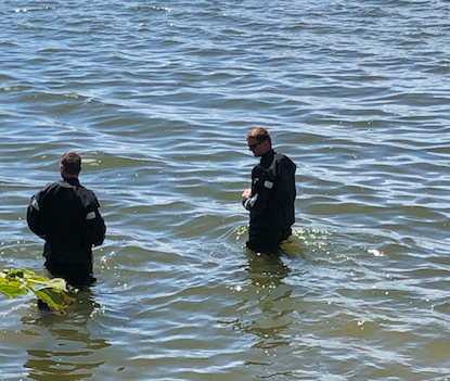 Divers